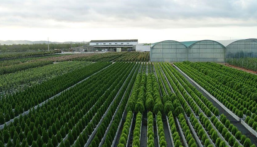 Vista aérea del vivero Tanako Plant